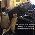 commented item thumbnail