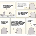 Agora entendi como os pombos vivem