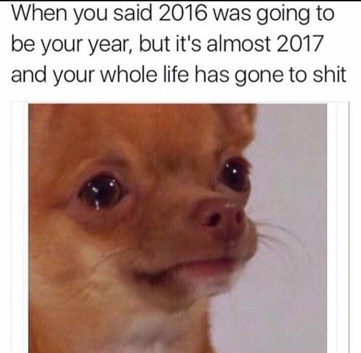 Every fuckin year - meme