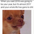 Every fuckin year