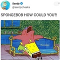 sponge bob how could you