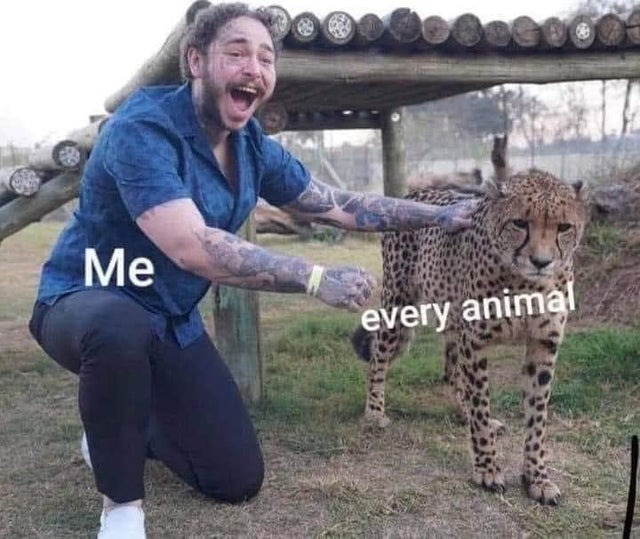 With every animal - meme