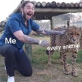 With every animal