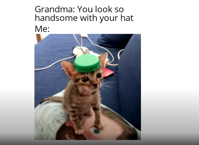 Handsome hat! - meme