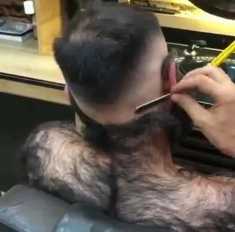 Bear getting a  haircut - meme