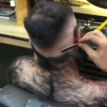 Bear getting a  haircut