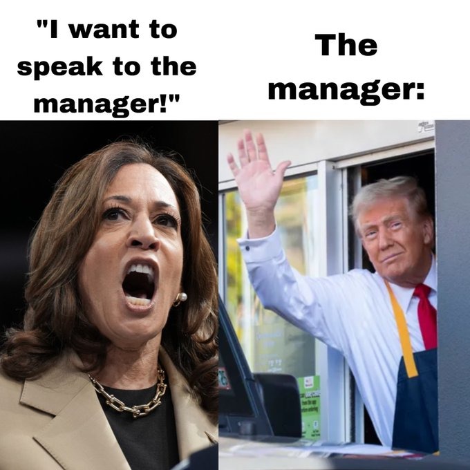 Vote early, vote often - meme