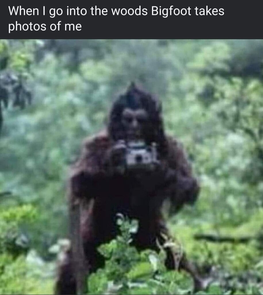 Photos of me - meme