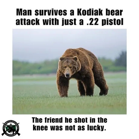 ﻿Man survives a Kodiak bear attack with just a .22 pistol The friend he shot in the knee was not aS lucky.
