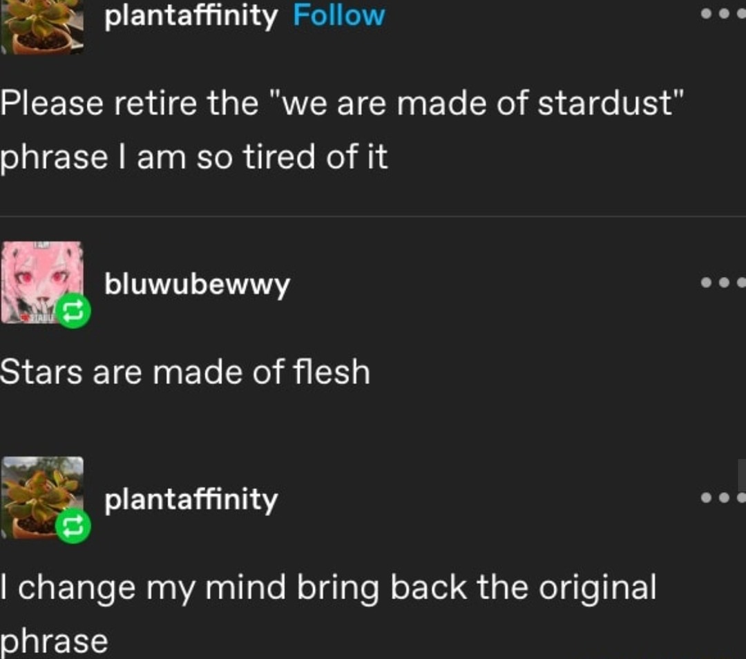 we're made of stardust? nah bro I'm made of chaos and iced coffee - meme