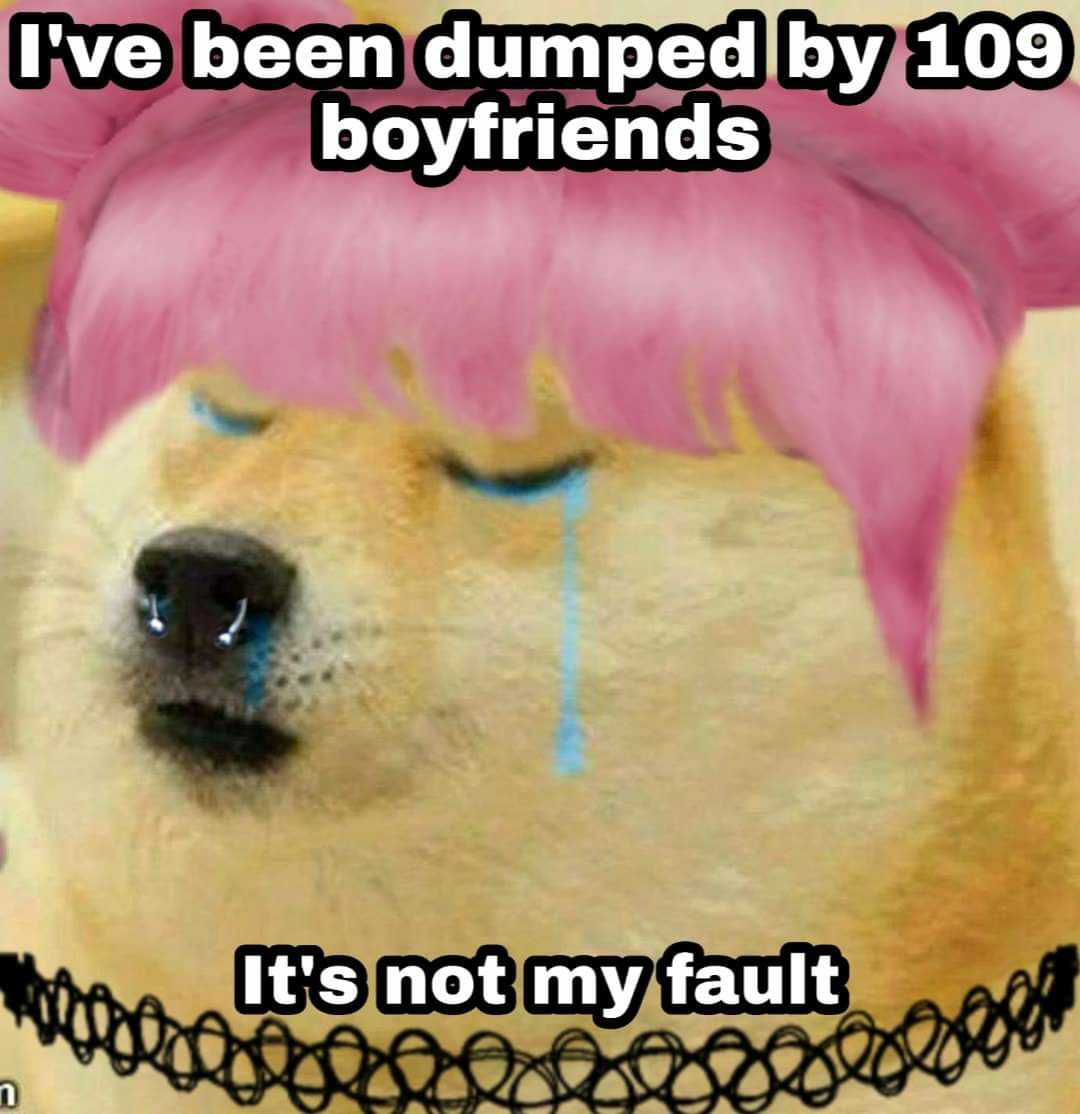 dongs in a fault - meme
