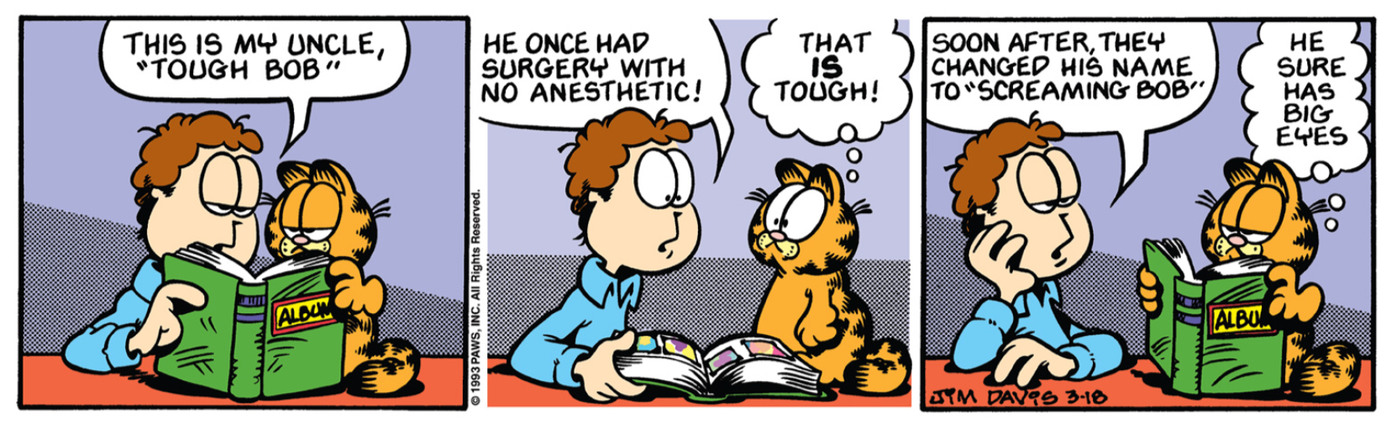 Garfield is a funny comic. - meme
