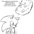 Sonic tiene pico grande confirmado.