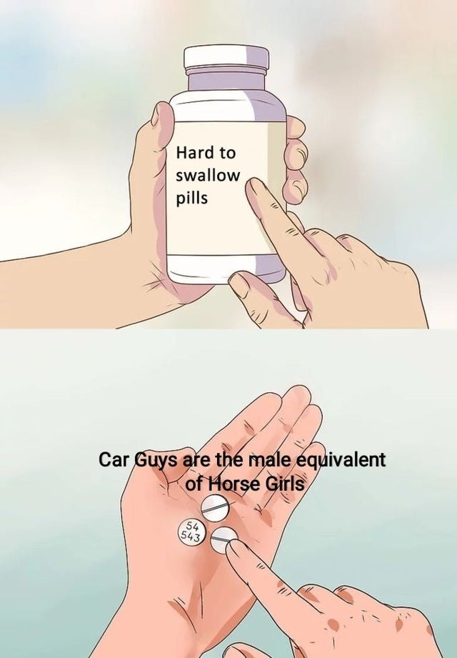 Are car guys the male equivalent of horse girls? - meme