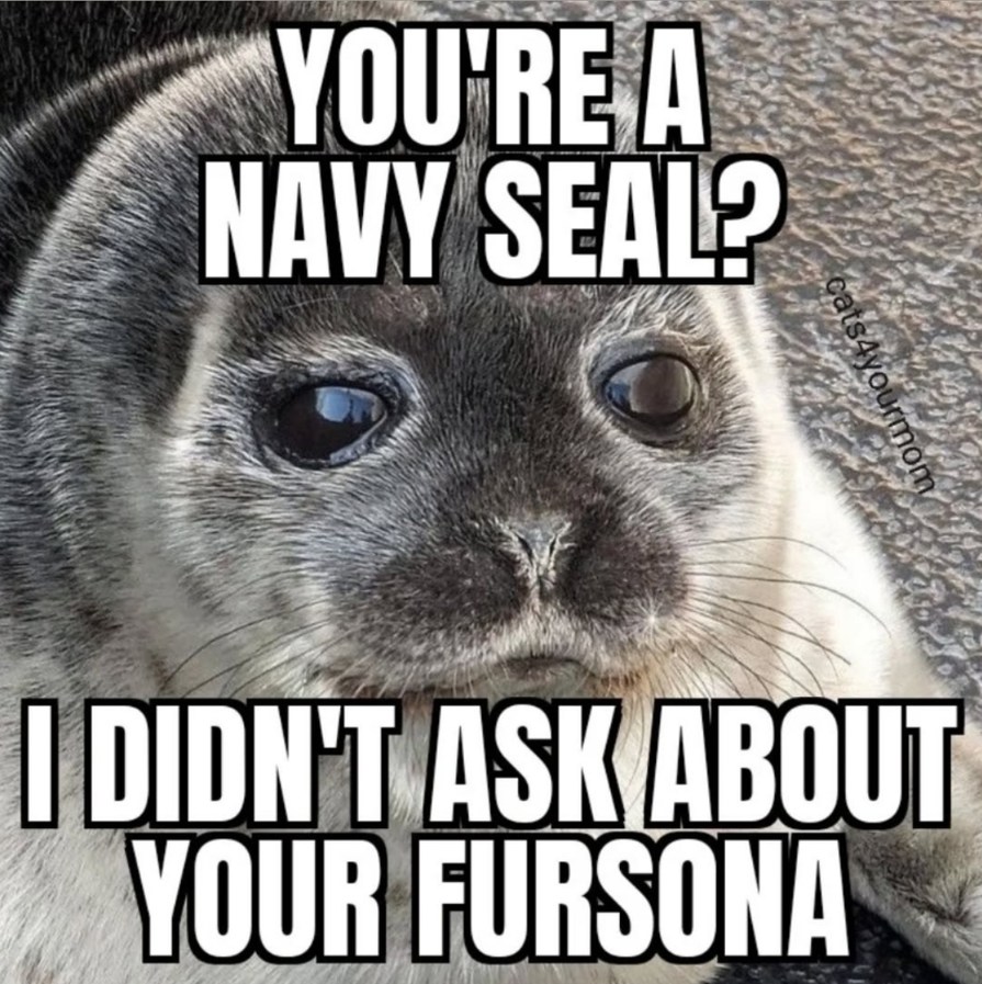 The military hired you for that? - meme