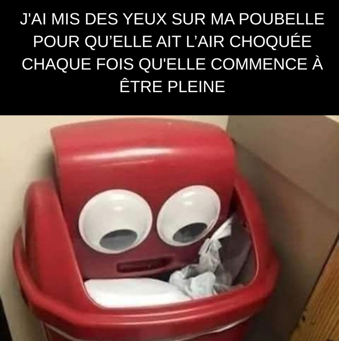 Ma poubelle choquée à chaque fois qu’elle déborde - meme