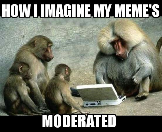 How I imagine my men's moderated - meme