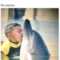 Yummy dolphin