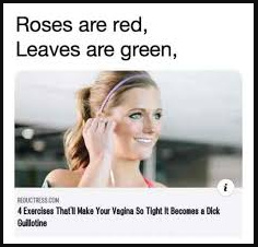 The best Roses Are Red memes :) Memedroid