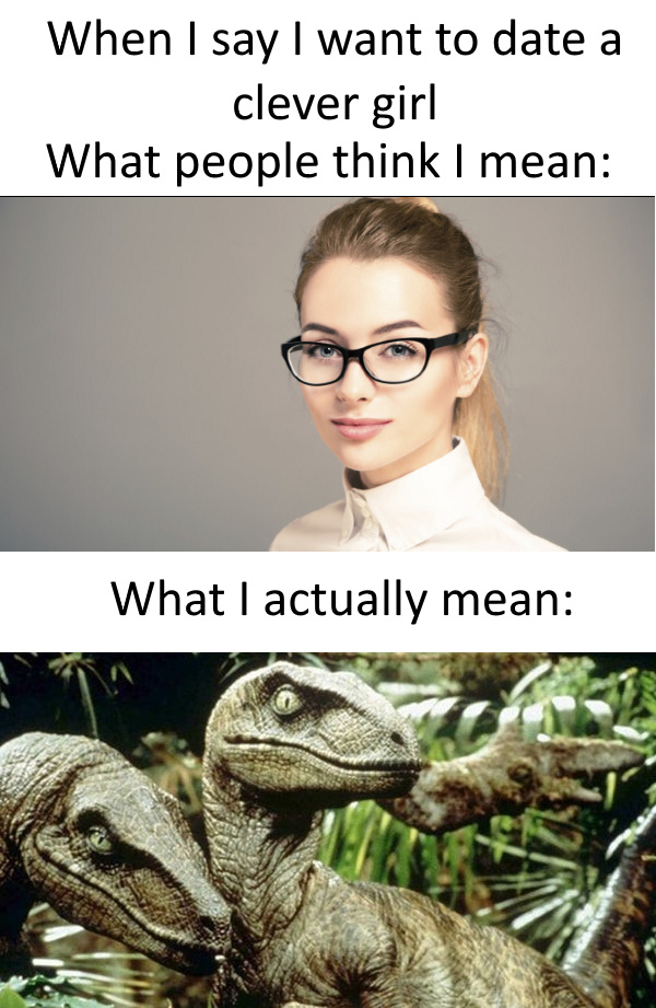 I want to date a clever girl - meme