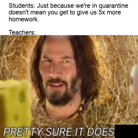Teachers during quarantine - meme
