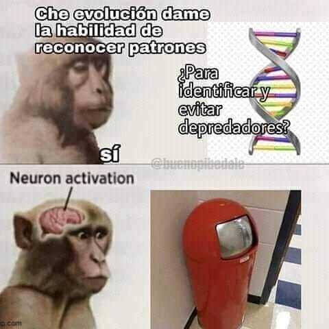 Neuron activated - meme