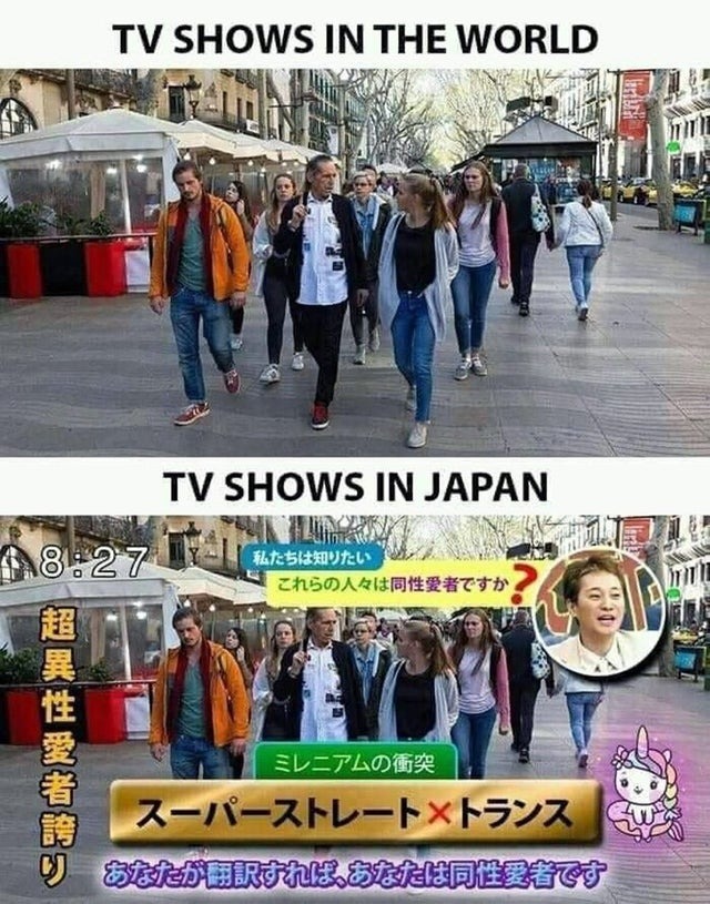tv shows in japan - meme