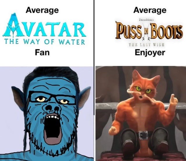 Avatar 2 and Puss in boots enjoyers - meme