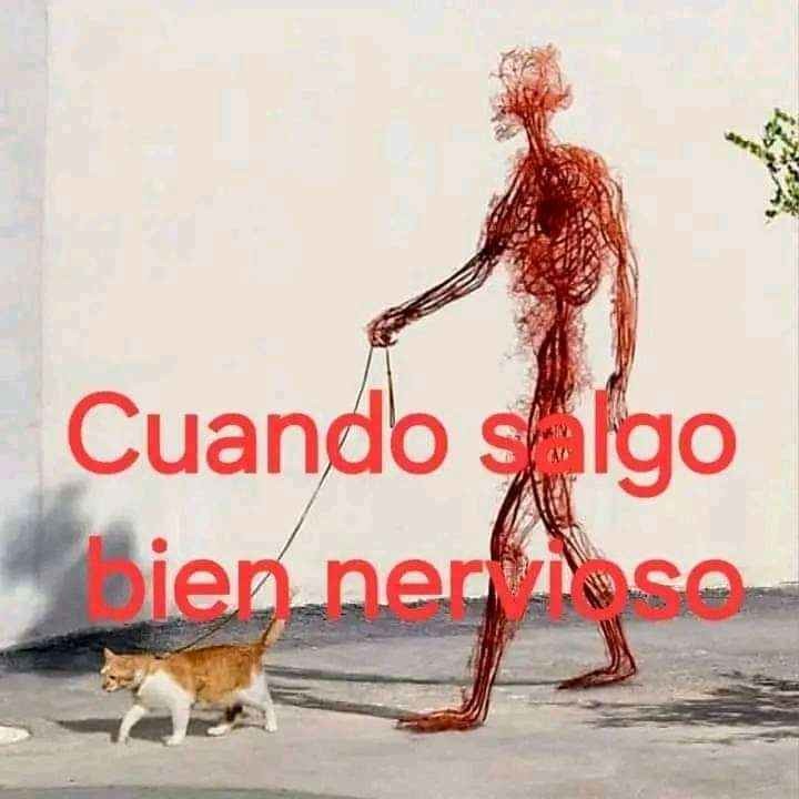 XDD nervioso - meme