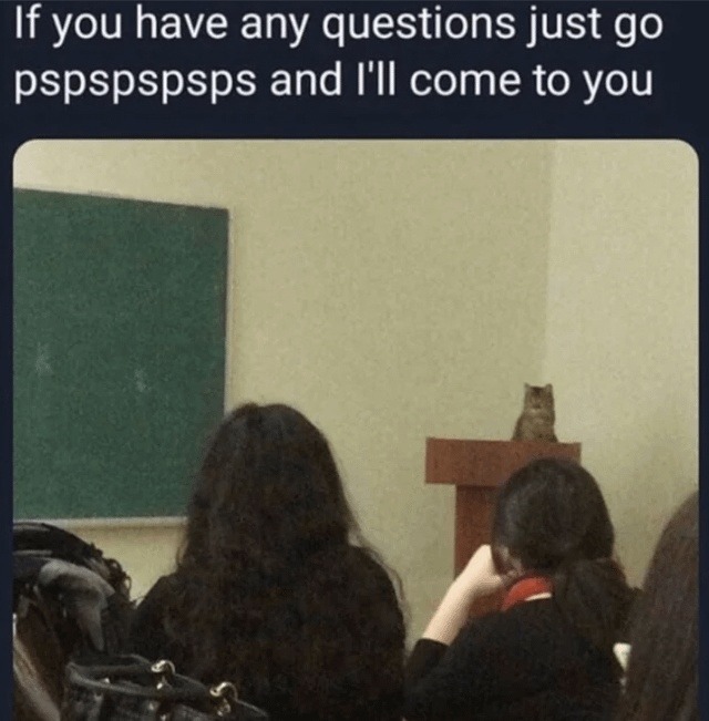 If you need help just pspsps and I’ll appear - meme