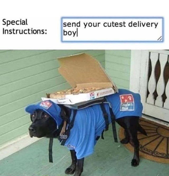Delivery instructions: please send your cutest boy - meme