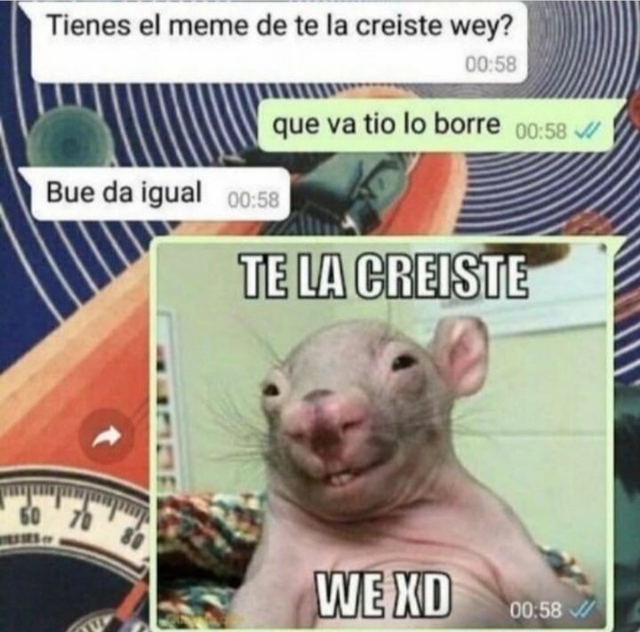 se la creyó - meme