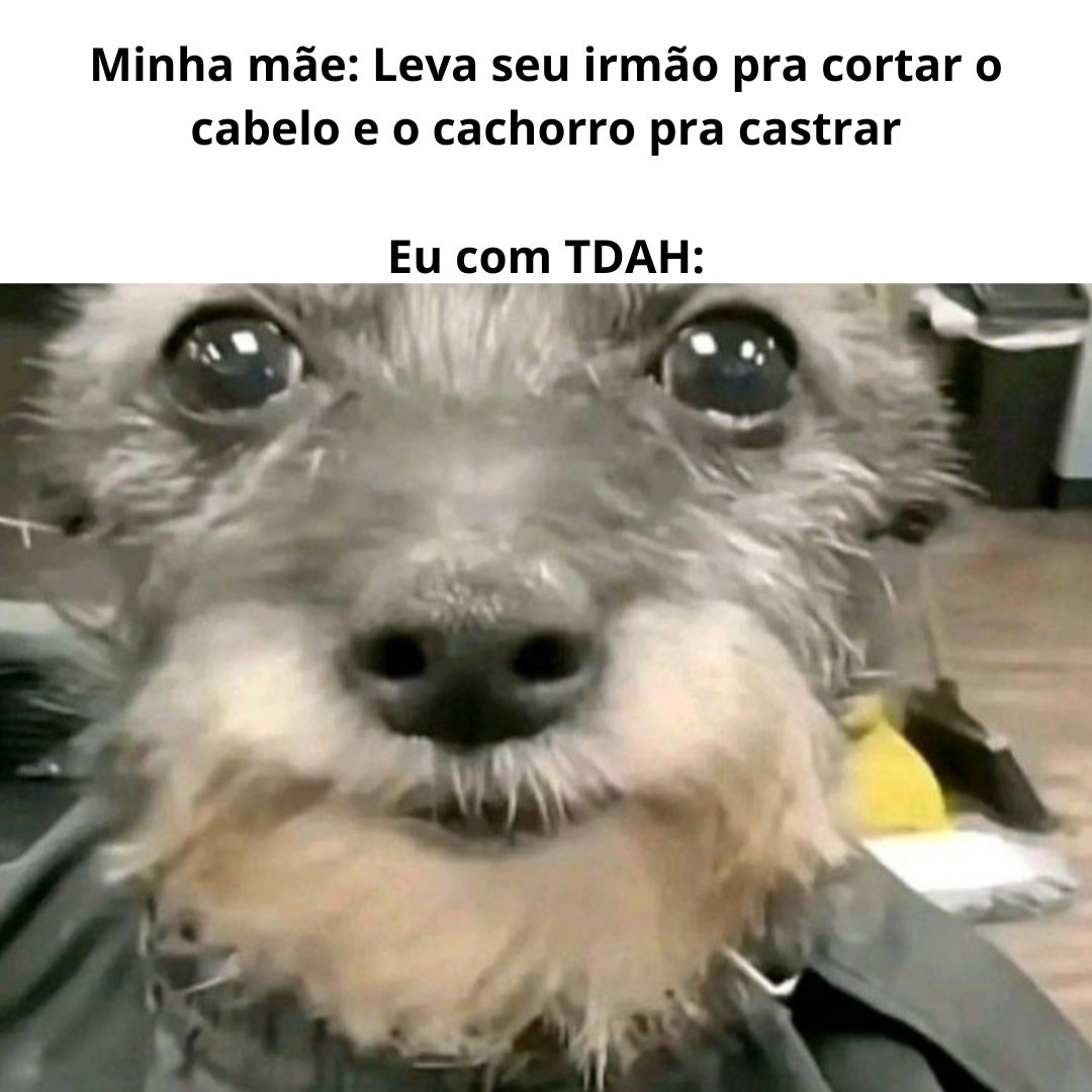 Tio Tério, o seu coveiro favorito. - meme
