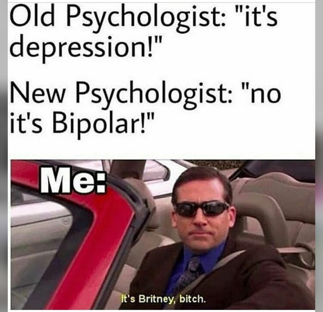 She told me she's bi, next thing I knew she was bipolar - meme