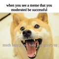 when I see memes I moderated I go *happiness noise*