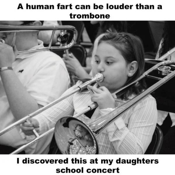 My personal wind instrument, the bASSoon can't hit all the notes, butt you've never heard anything reverberate like me when I nail a "b flatulate". - meme