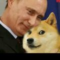 Putin Love Doge