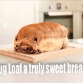 Pug be bread