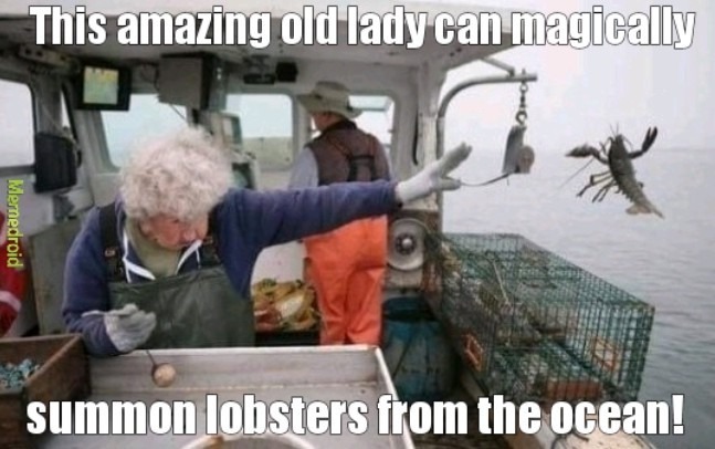 The lobster whisperer - meme