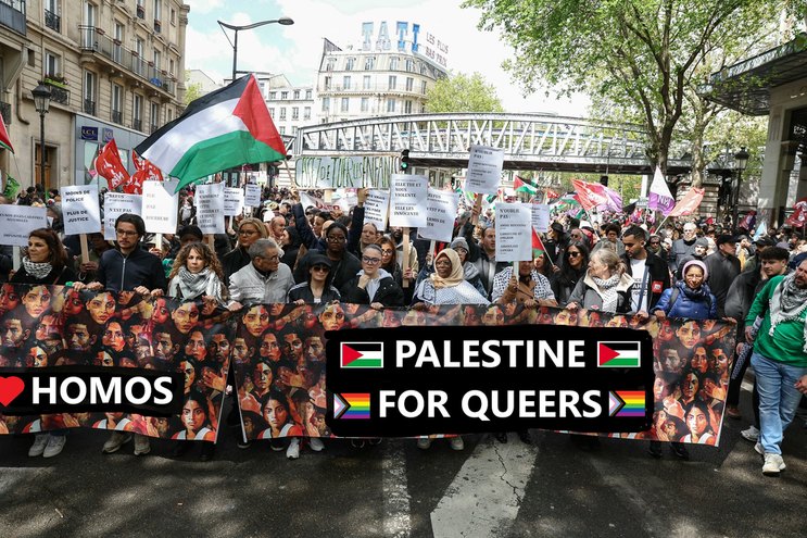 Palestine for Queers - meme