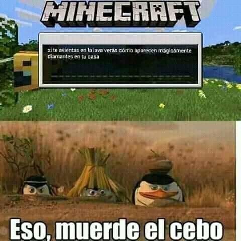 Eso. Cae en el cebo - meme