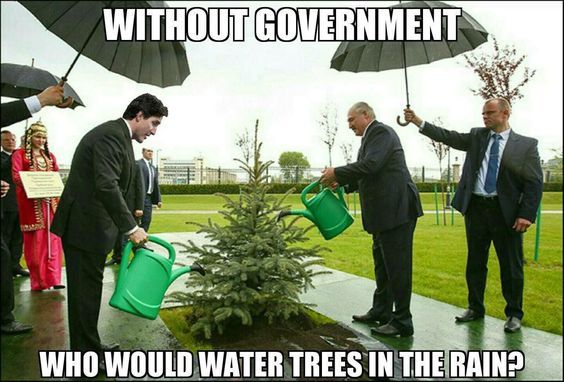 But the government solves problems - meme
