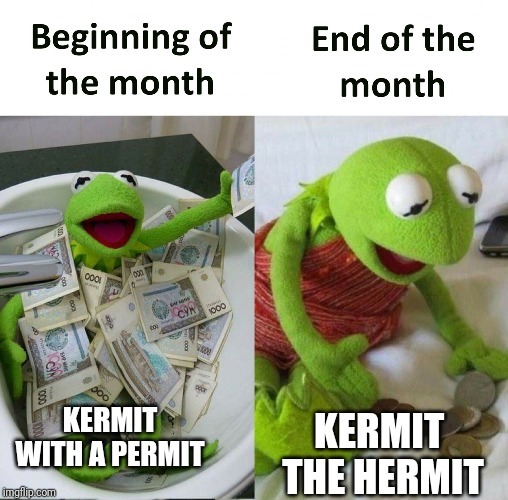 Kermit ; who earned it - meme