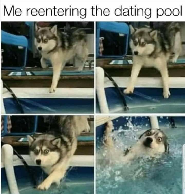 Or any pool for that matter - meme