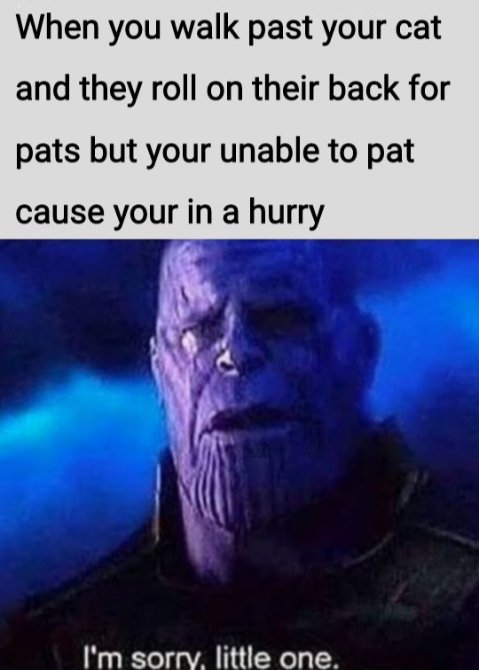 No pats for the pussy - meme