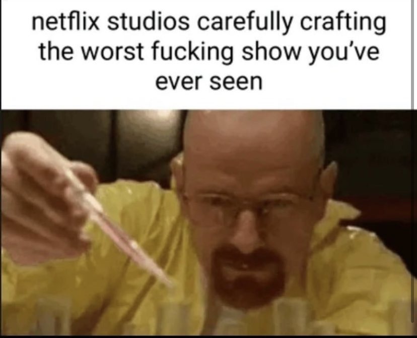 Damn it Netflix you did it again - meme