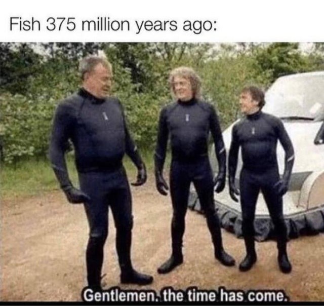 Fish Evolution - meme
