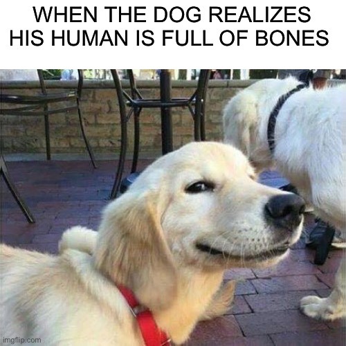 Bones - meme