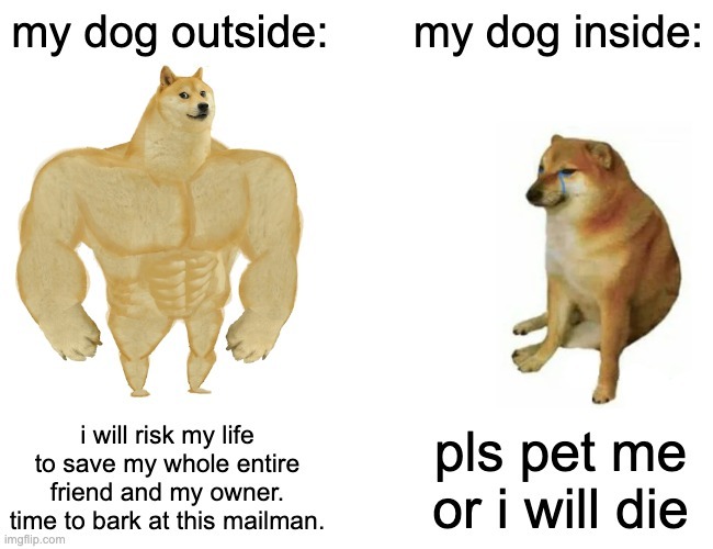 idk why dogs are like this lol - meme