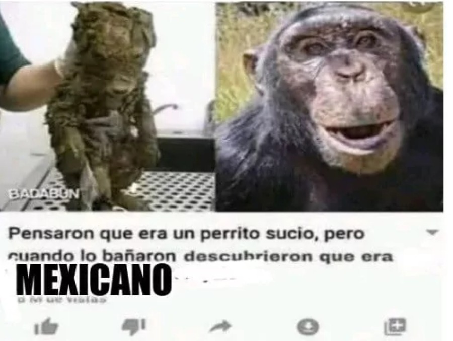 Era un meximono - meme